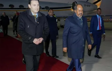 Hassan Sheikh in germany