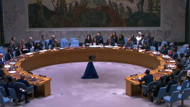 UNSC